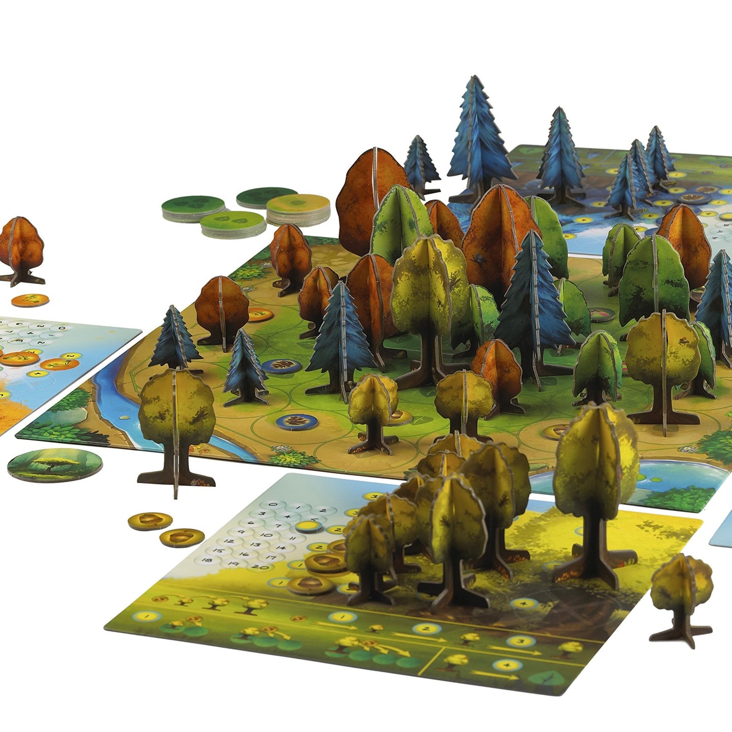 Photosynthesis (EN)