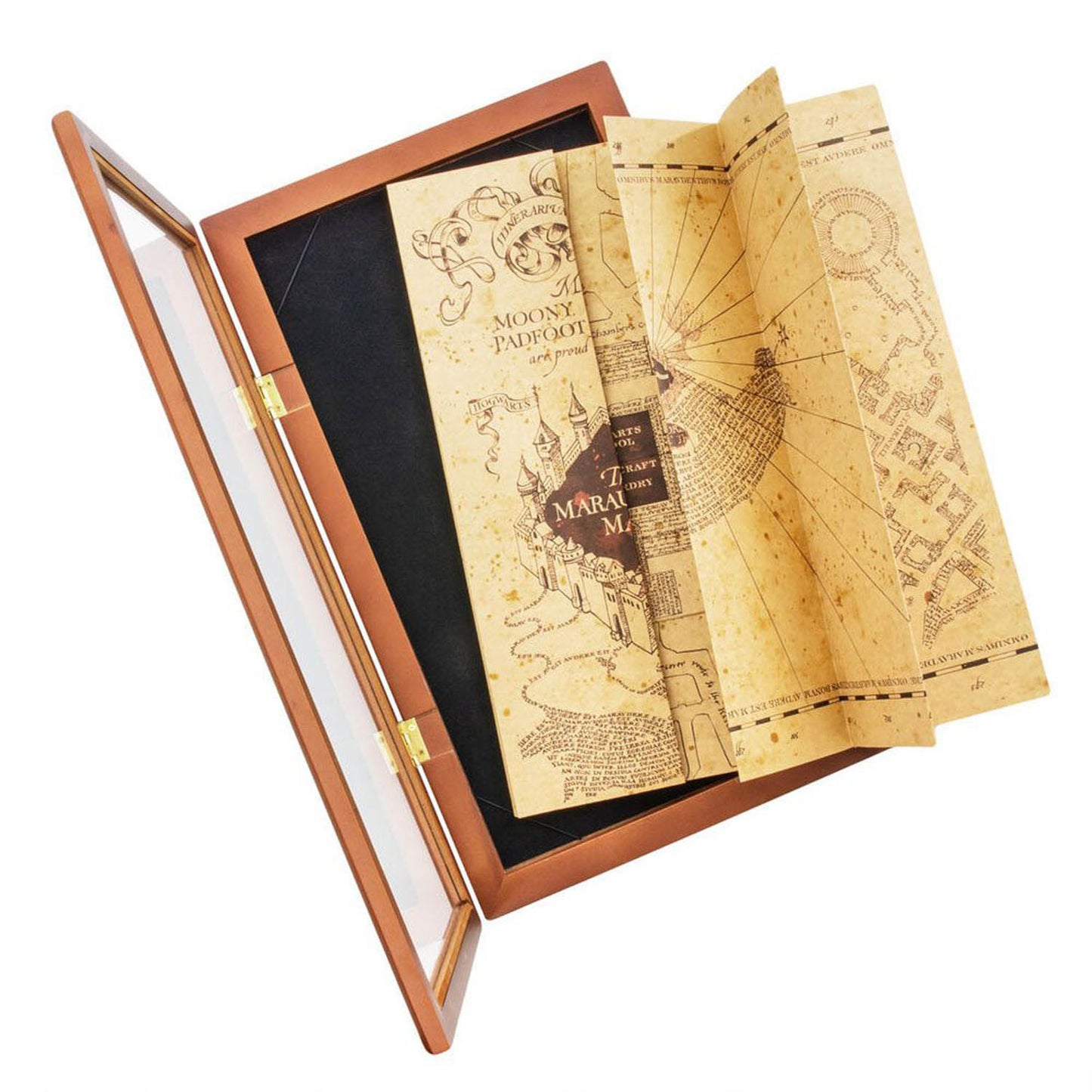 Harry Potter Marauder´s Map Display Case